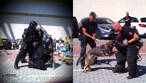 Policajti čelili dohodnutému detskému útoku i psovi. | Foto: PZSR
