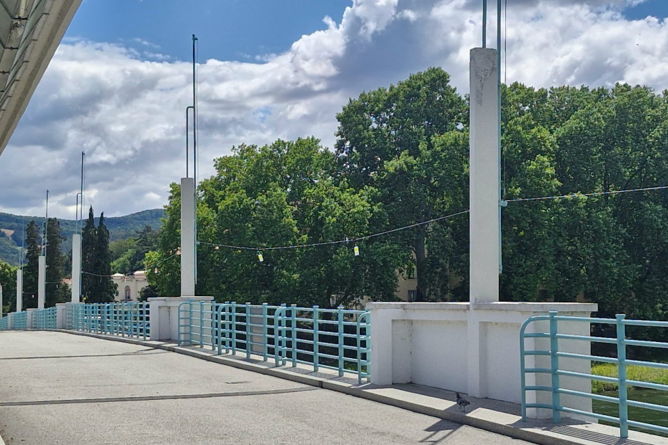 Mesto bude sledovať, či nové prvky znížia počet kolízií labutí. | Foto: Mesto Piešťany