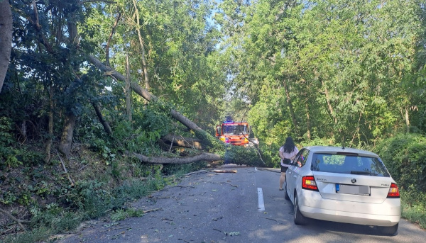 Úsek je momentálne neprejazdný. | Foto: Andrea Latakova, Dopravný servis Okres Hlohovec a okolie