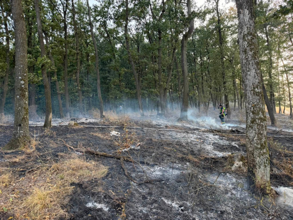 Požiar lesa v kraji | Zdroj: DHZ Chtelnica
