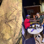 Výlet v Afrike | Foto: Archív Jozefa Adameka