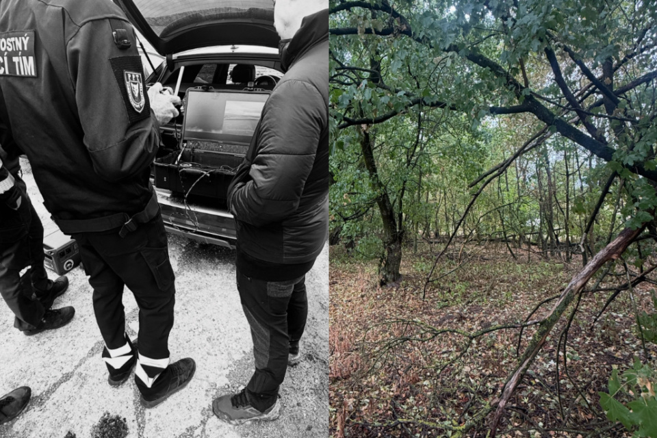 Pravda o tragédii sa mala potvrdiť v blízkych porastoch. | Foto: Hasiči Jaslovské Bohunice