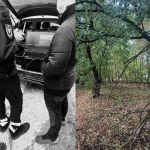 Pravda o tragédii sa mala potvrdiť v blízkych porastoch. | Foto: Hasiči Jaslovské Bohunice