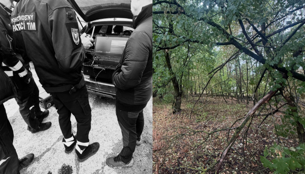 Pravda o tragédii sa mala potvrdiť v blízkych porastoch. | Foto: Hasiči Jaslovské Bohunice