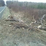 Riešili sa najmä popadané stromy. l Foto: HaZZ