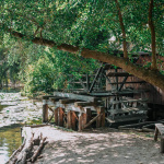 Okolie mlyna | Zdroj: Danube Islands