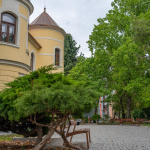 Vermesova vila a jej okolie | Zdroj: Dunajská Streda