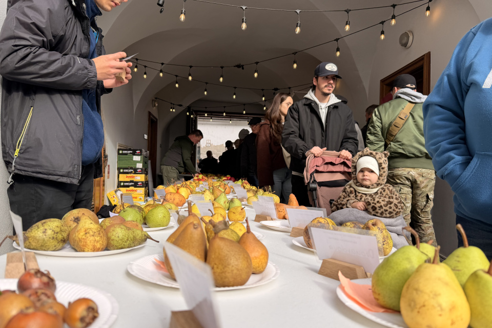 Naplánujte si víkendový program v Trnave | Foto: Trnavské osvetové stredisko