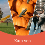 Aký bude váš program na víkend? | Zdroj foto: Dolná Krupá, Pixabay, TYRNHAW