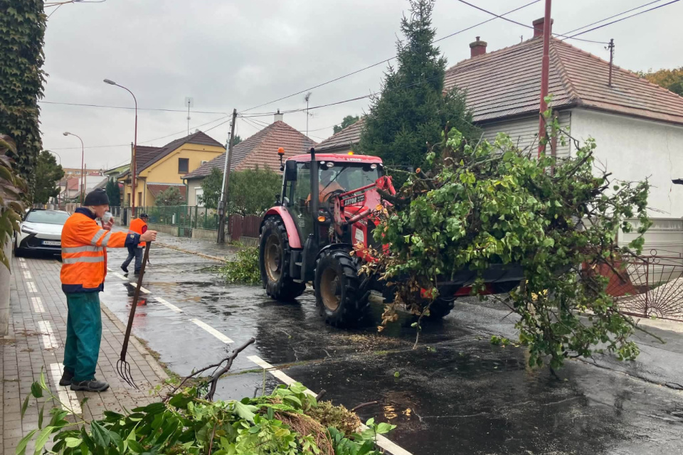 Zber odrezaných konárov pokračoval napriek daždivému počasiu. | Foto: Mestské služby Trnava