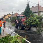Zber odrezaných konárov pokračoval napriek daždivému počasiu. | Foto: Mestské služby Trnava