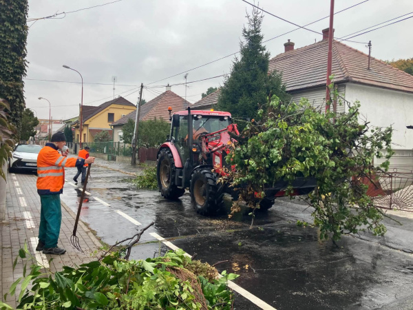 Zber odrezaných konárov pokračoval napriek daždivému počasiu. | Foto: Mestské služby Trnava