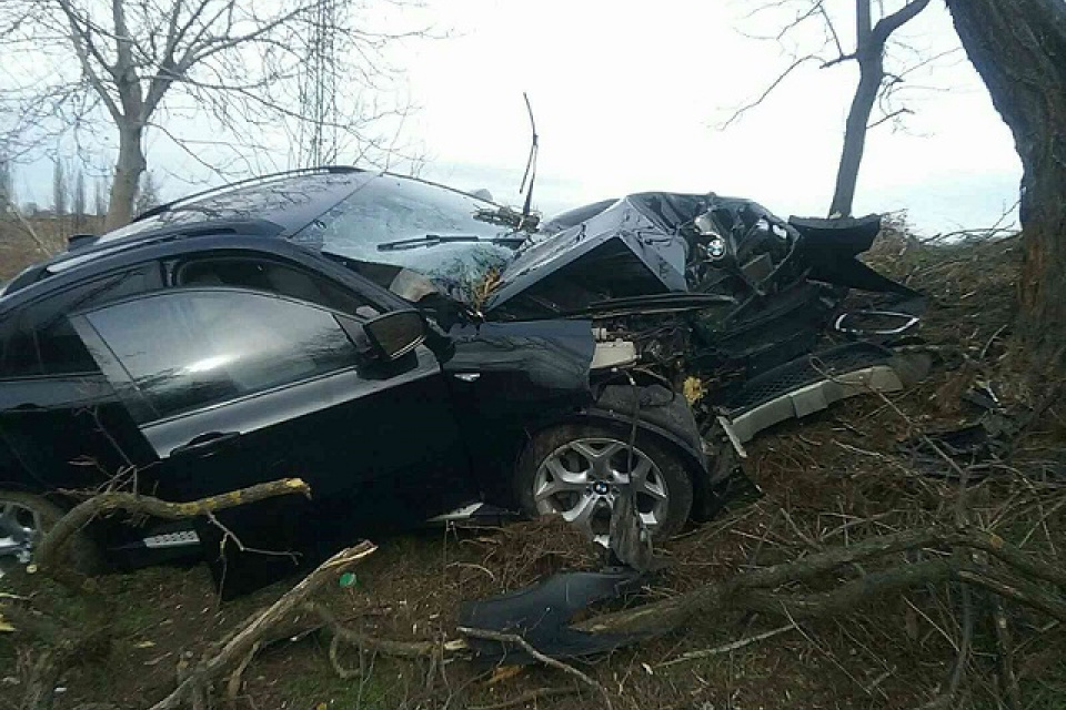 Auto vrazilo do stromu. l Zdroj: TS