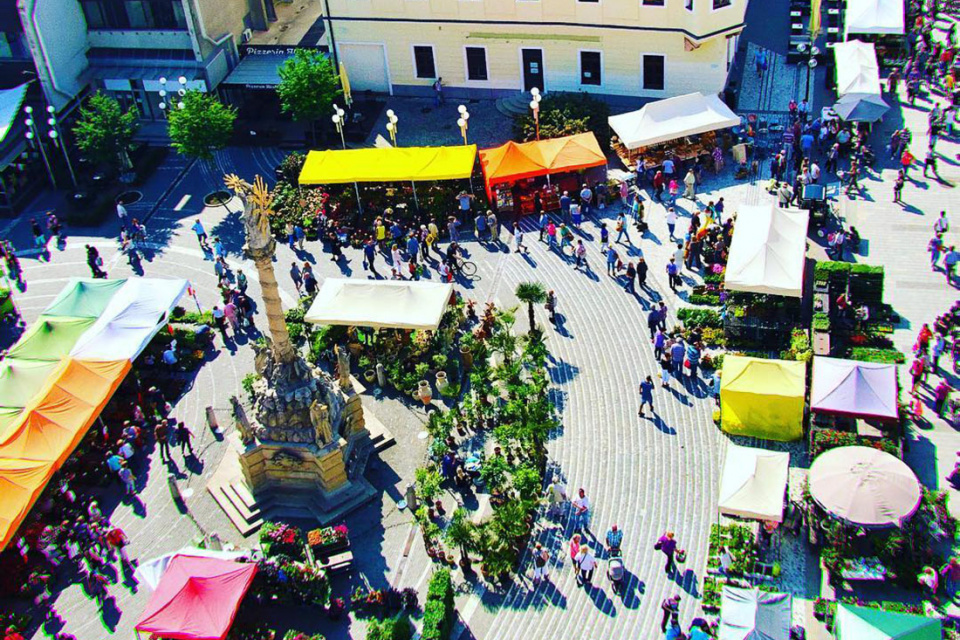 Podujatie Májový kvet. | Foto: Trnavské rádio