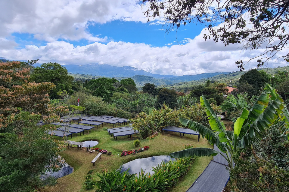 Plantáž v Kostarike. l Zdroj: archív PK 
