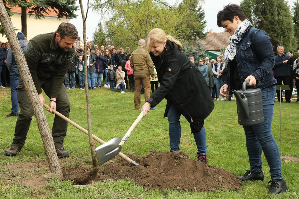 Prezidentka vysadila nové stromy l Foto: Fb Zuzana Čaputová