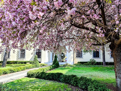 Západoslovenské múzeum v Trnave. | Foto: ZSM