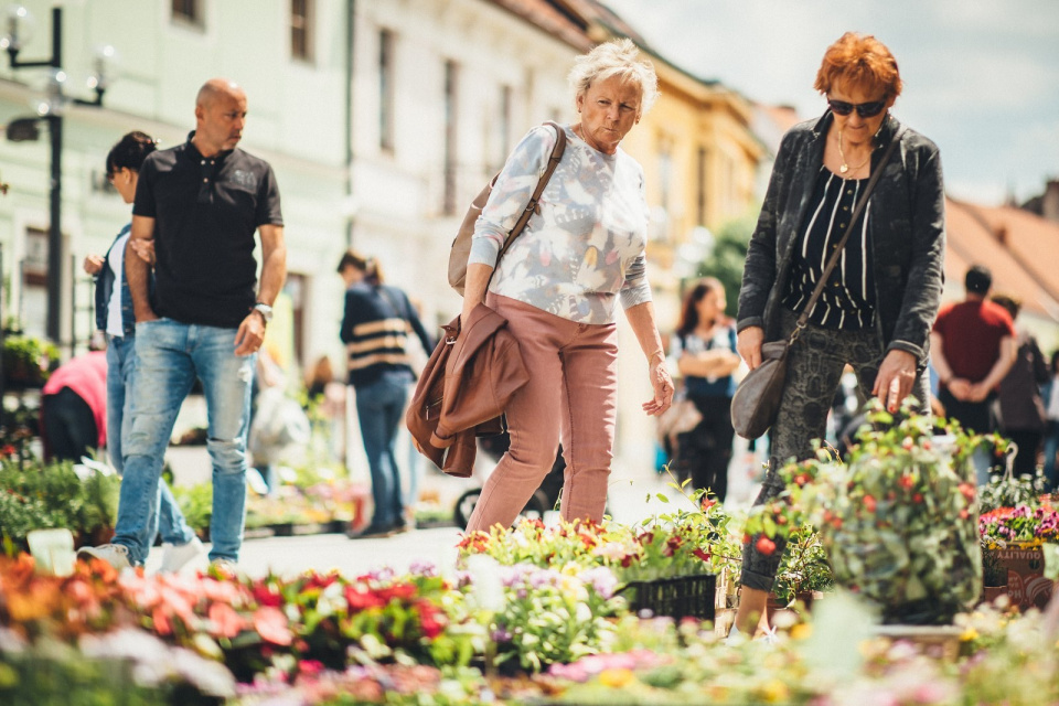 Májový kvet v Trnave v roku 2019. | Foto: Marek Martinek (Zaži v Trnave)