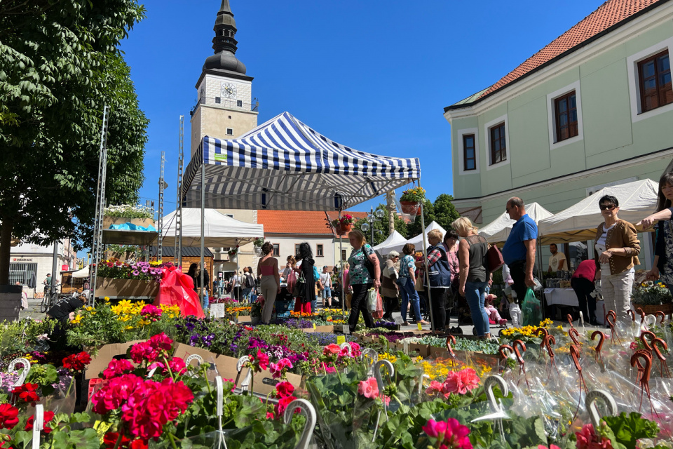 Predaj v centre počas tohtoročného podujatia Májový kvet. | Foto: Trnavské rádio