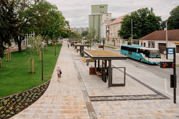 zelený_kríček l Trnava