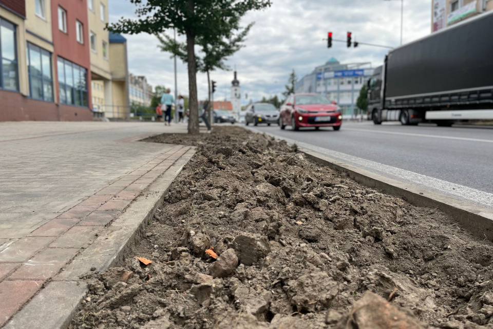 Vysadia rôzne rastliny. l Zdroj: Mesto Senica