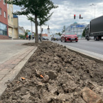 Vysadia rôzne rastliny. l Zdroj: Mesto Senica