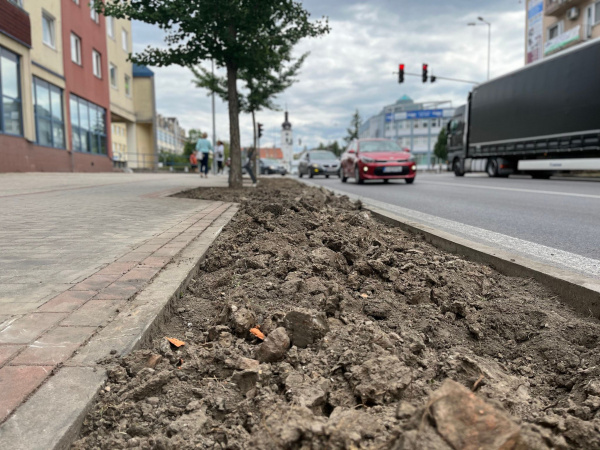 Vysadia rôzne rastliny. l Zdroj: Mesto Senica