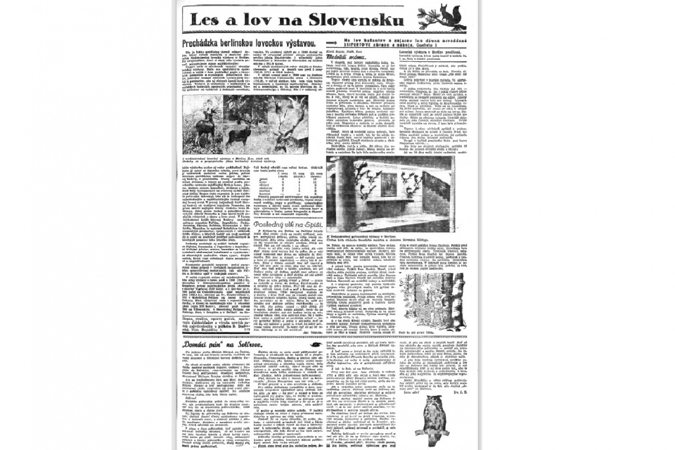 Článok v Slovenskom deníku l Zdroj: Digitálna knižnica