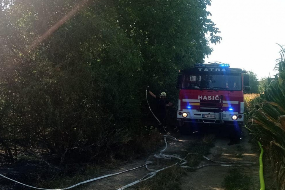 Foto zozásahu / Zdroj: DHZ Jaslovské Bohunice