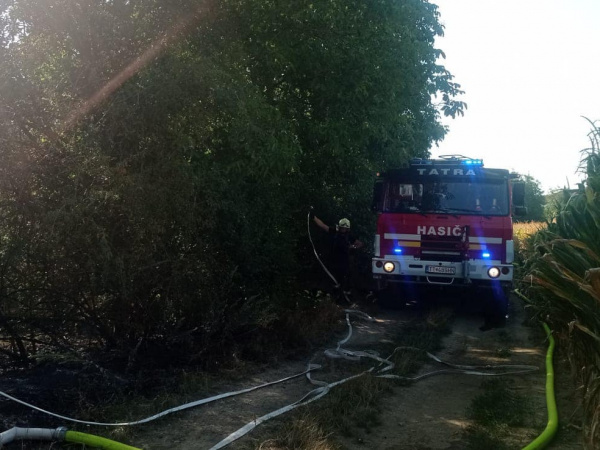 Foto zozásahu / Zdroj: DHZ Jaslovské Bohunice
