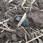 Meteorit našli na pooranom poli | Zdroj: FMPH