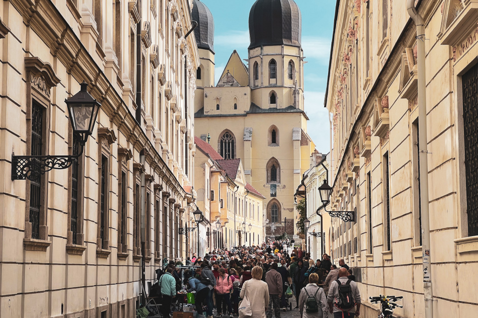 Blšák v Trnave | Foto: Trnavské rádio