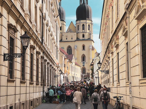Blšák v Trnave | Foto: Trnavské rádio