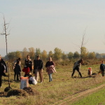 Lipová alej vo Veľkých Levároch  | Foto: Záhorí.sk