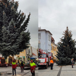 Vianočný stromček priviezli z neďalekej Hviezdoslavovej ulice | Zdroj: Služby mesta Piešťany - Stredisko verejnej zelene