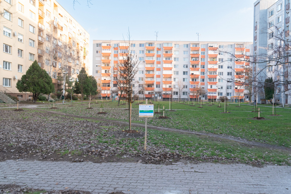 Výsadba stromov v parku na sídlisku Nová Ves | Foto: Vince Rózsár