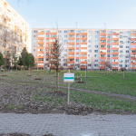 Výsadba stromov v parku na sídlisku Nová Ves | Foto: Vince Rózsár
