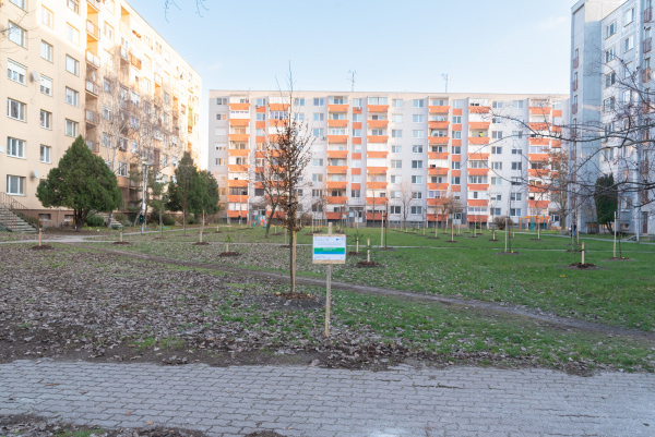 Výsadba stromov v parku na sídlisku Nová Ves | Foto: Vince Rózsár