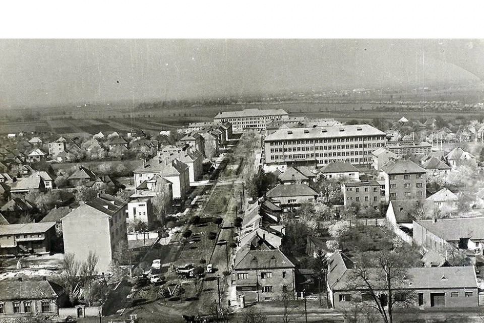 Pohľad na Gottwaldovu, dnes Študentskú ulicu z veže františkánskeho kostola v roku 1959. | Zdroj: FB Fotky stará Trnava 