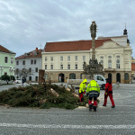 Vianočný stromček už spílili. | Foto: red.