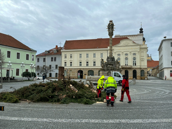 Vianočný stromček už spílili. | Foto: red.