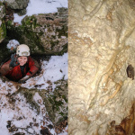 Ochranárka pri vstupe do jaskyne a zachytený netopier. | Zdroj: CHKO Malé Karpaty