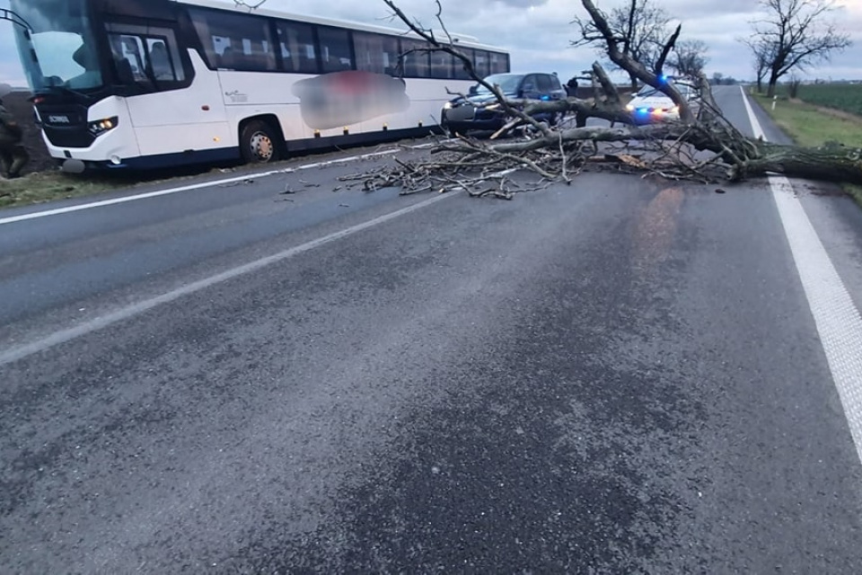 Pri Cíferi skončil autobus v priekope. Obiehal spadnutý strom | Zdroj: KRPZTT