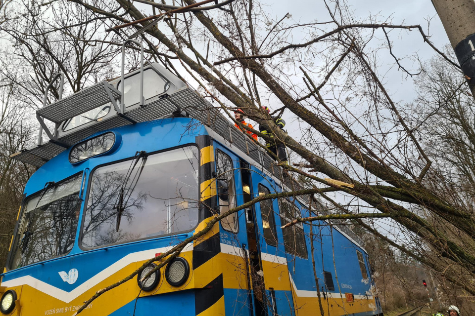Ostraňovanie konárov. | Zdroj: DHZ Jablonica