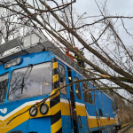 Ostraňovanie konárov. | Zdroj: DHZ Jablonica