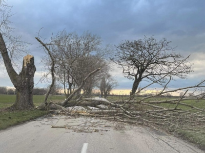 Problémy robili najmä stromy spadnuté na cestu. | Zdroj: KR PZ TT