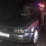 Nehoda si vyžiadala mladý život. | Zdroj: Fb KR PZ TT