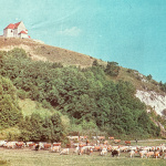 Pastviny pod kopcom v Lančári. V pozadí goticko-renesančný kostolík. | Zdroj: Dagmar Veliká a kol., 1983