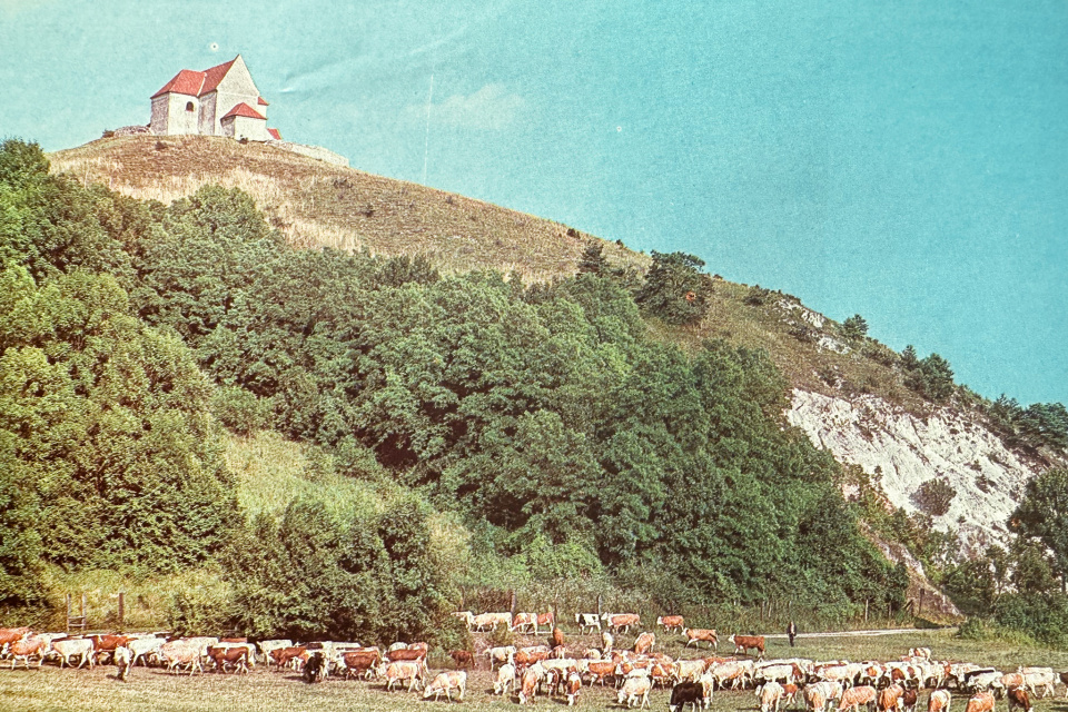 Pastviny pod kopcom v Lančári. V pozadí goticko-renesančný kostolík. | Zdroj: Dagmar Veliká a kol., 1983