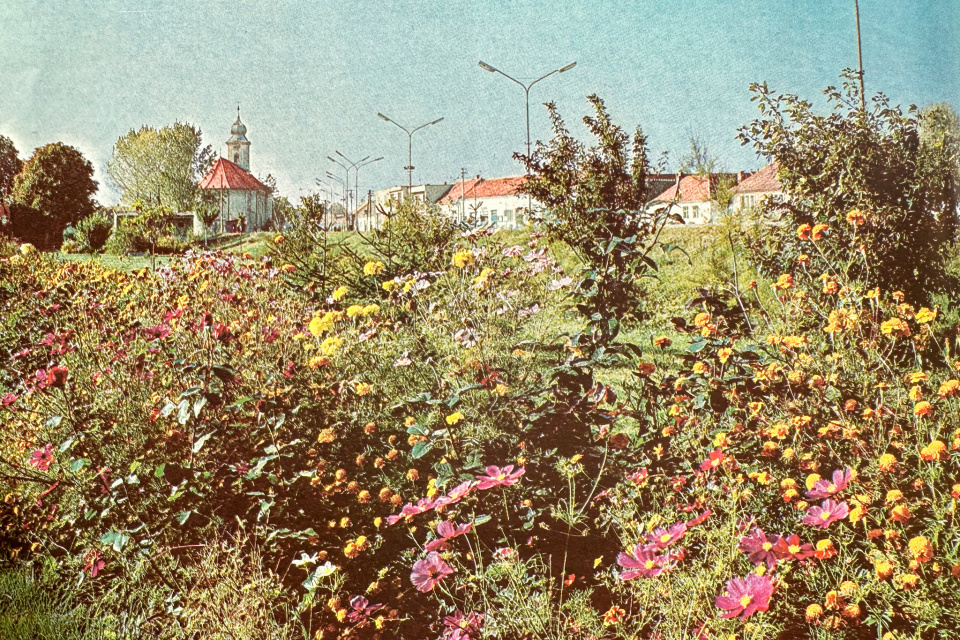 Kvetinový záhon v Maduniciach. | Zdroj: Dagmar Veliká a kol., 1983